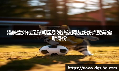 猫咪意外成足球明星引发热议网友纷纷点赞萌宠新身份